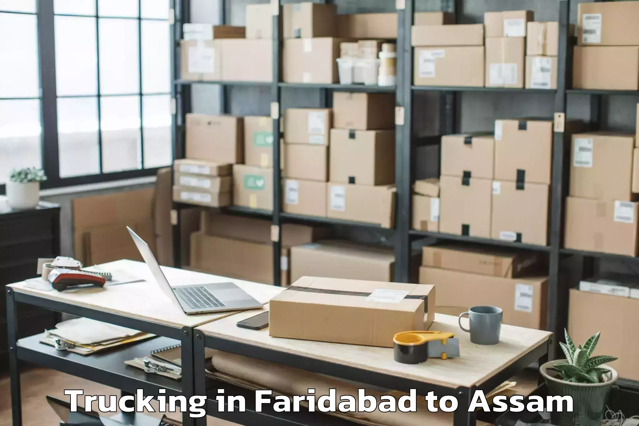 Leading Faridabad to Balijan Trucking Provider